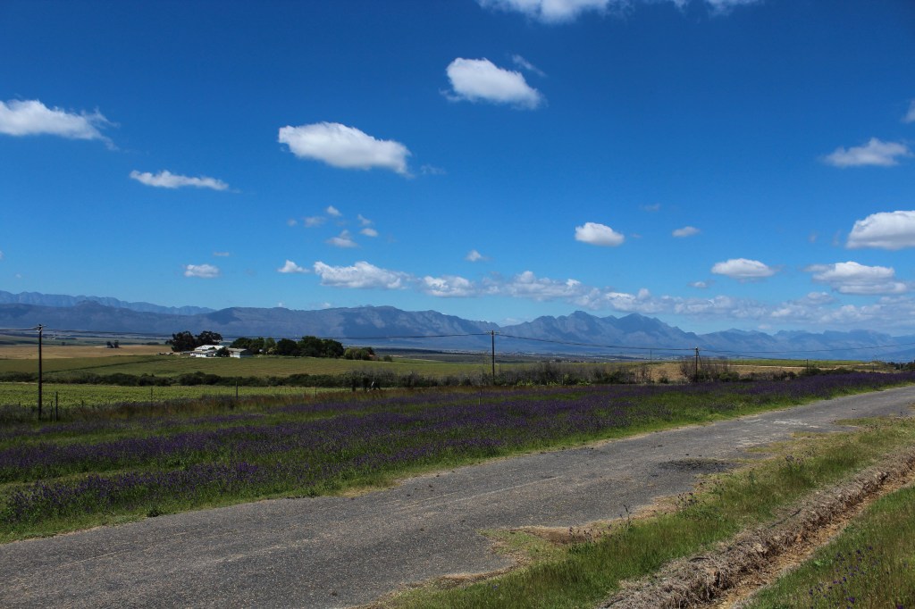 Off the Beeten track – Riebeeck&nbsp;Kasteel.