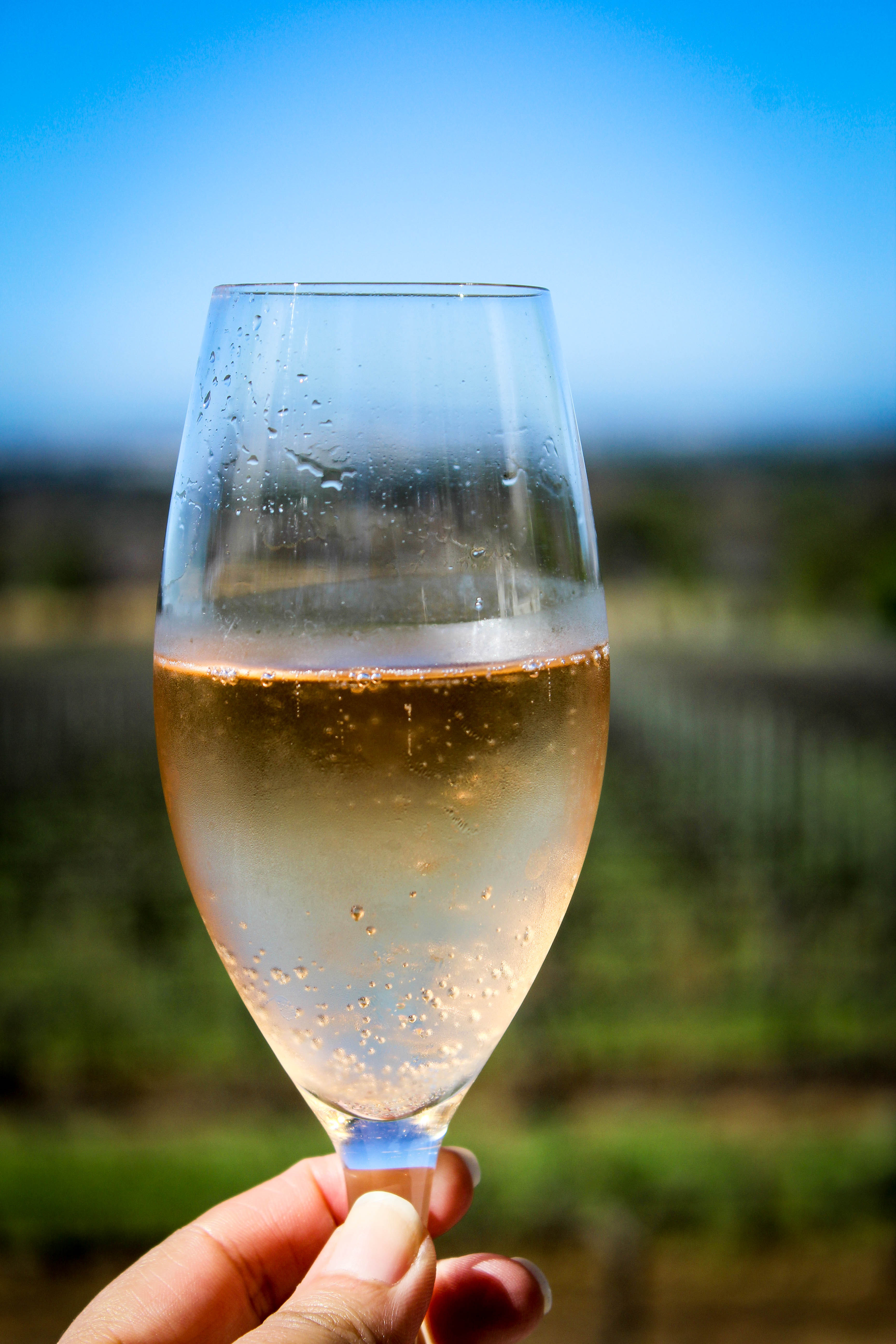 Groot Constantia 011