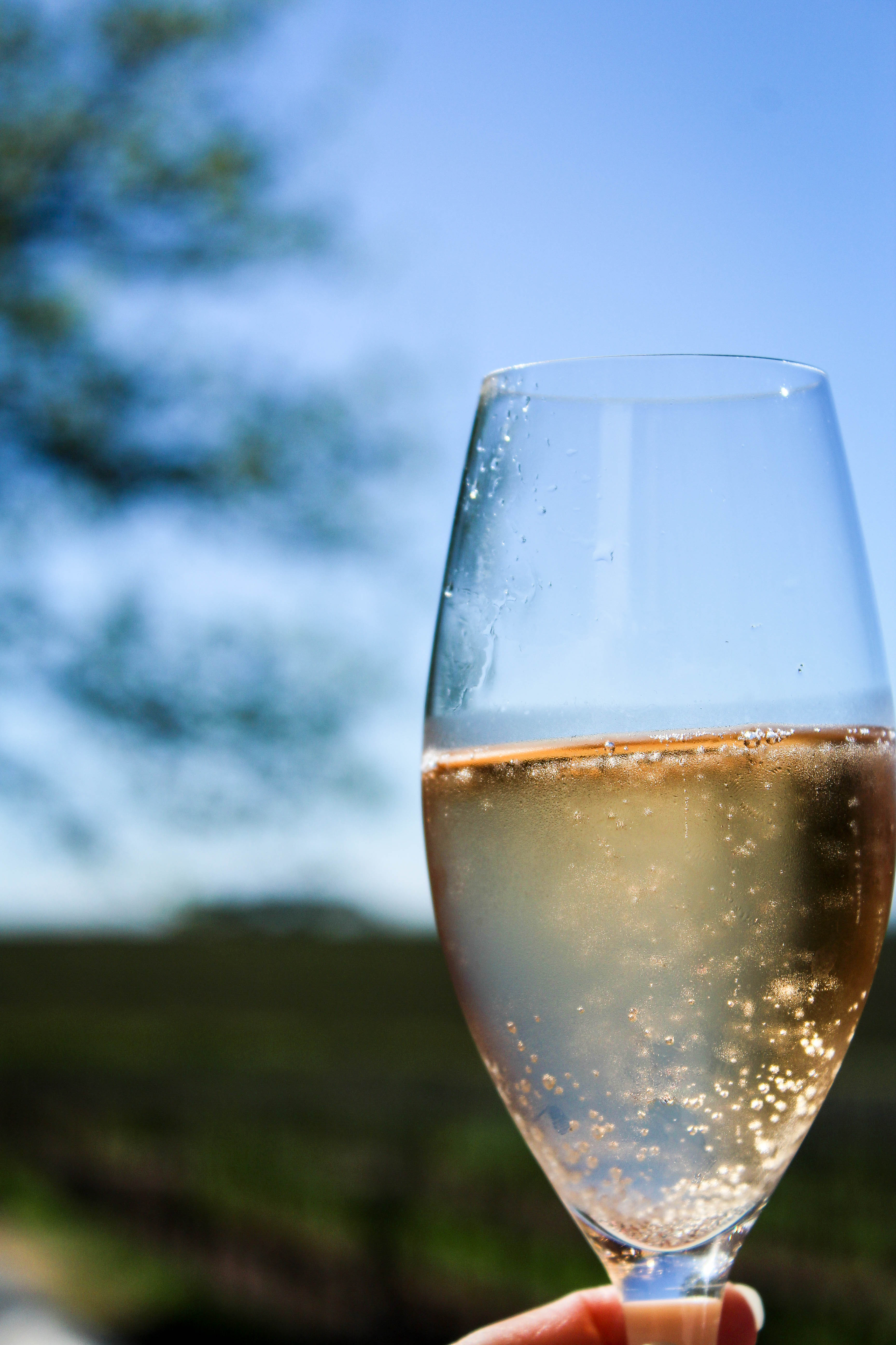 Groot Constantia 013