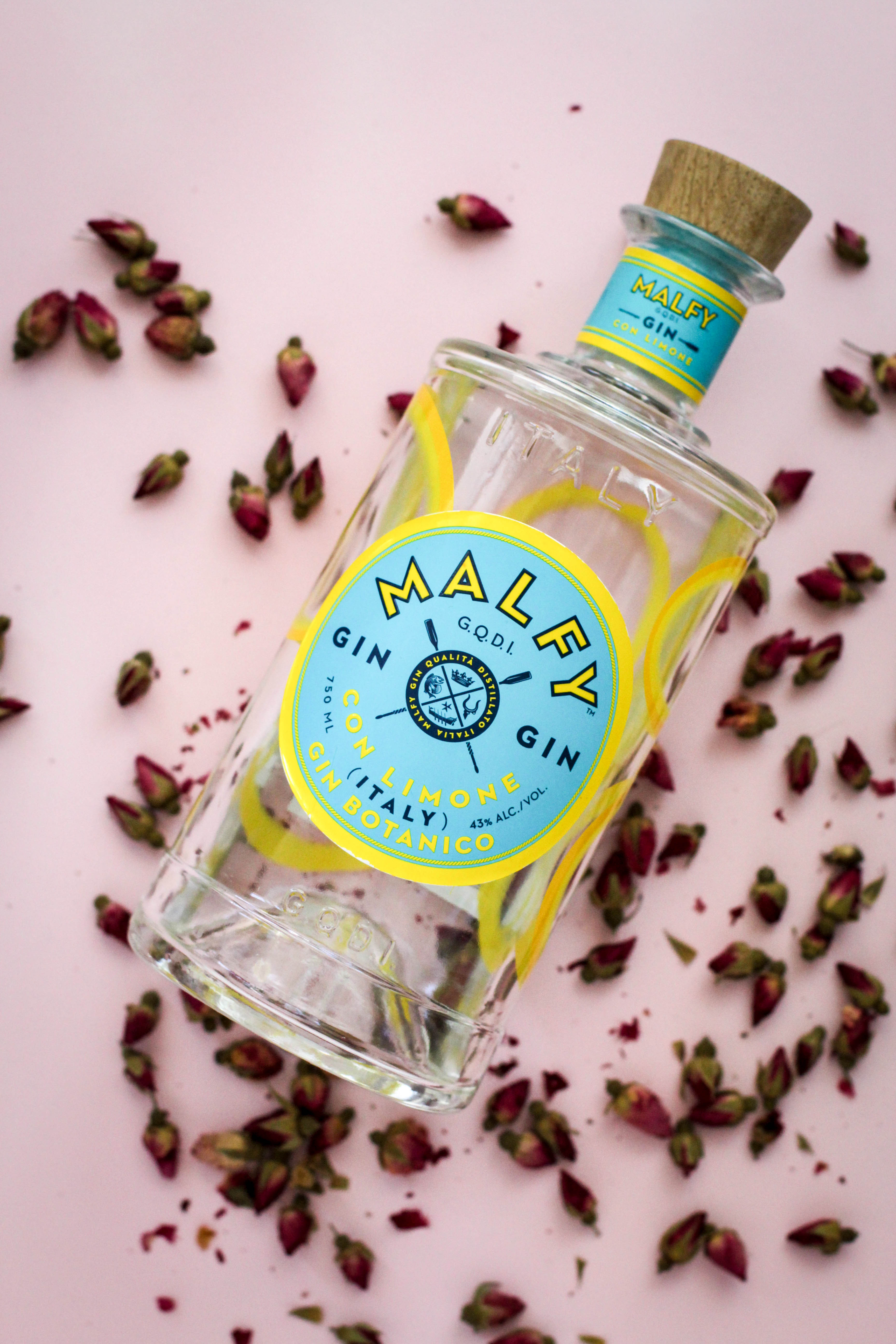 Watermelon, Rose water and Gin Slushie 004