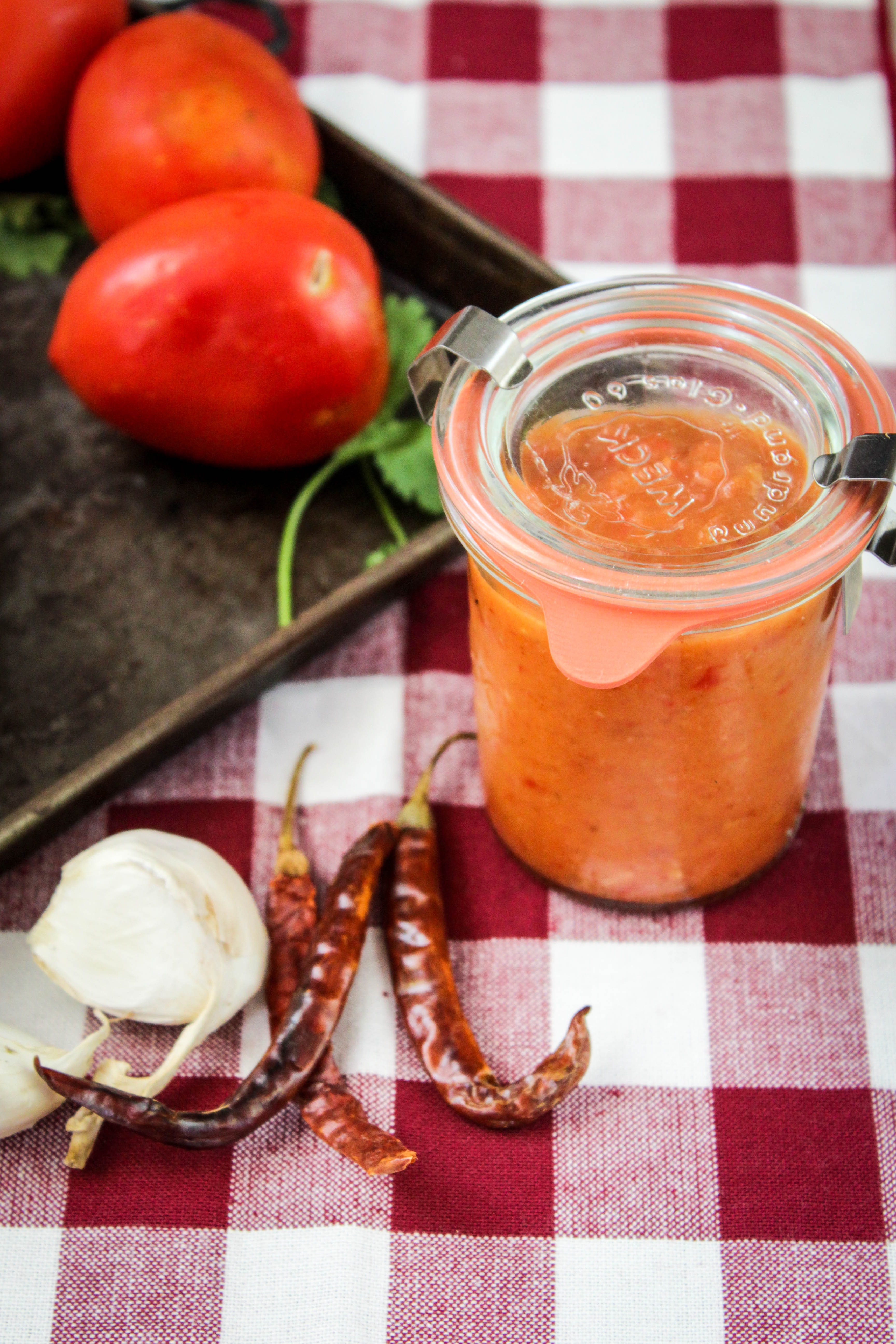 Roasted Tomato Salsa 037-2