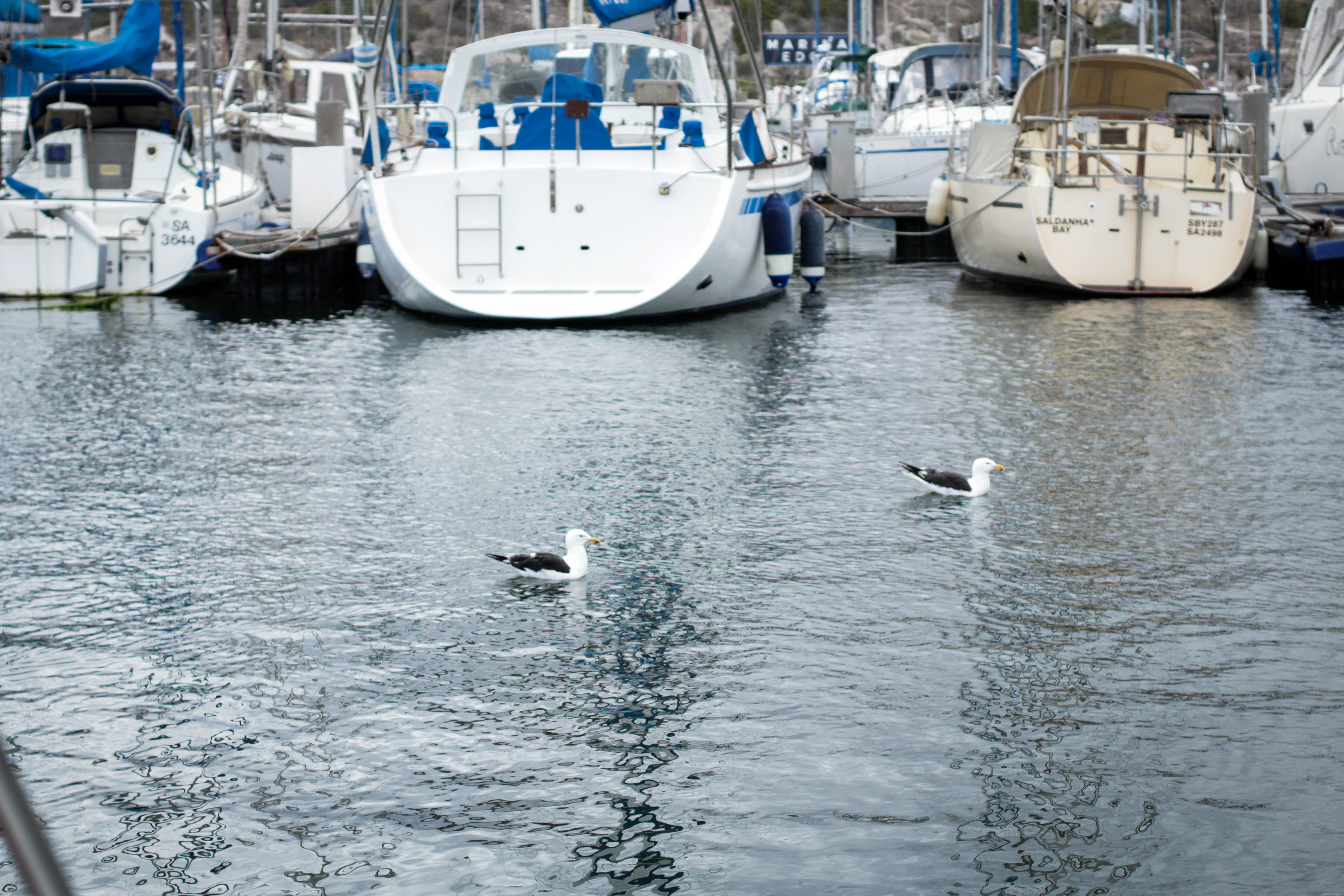 West Coast Way Trip 2 142