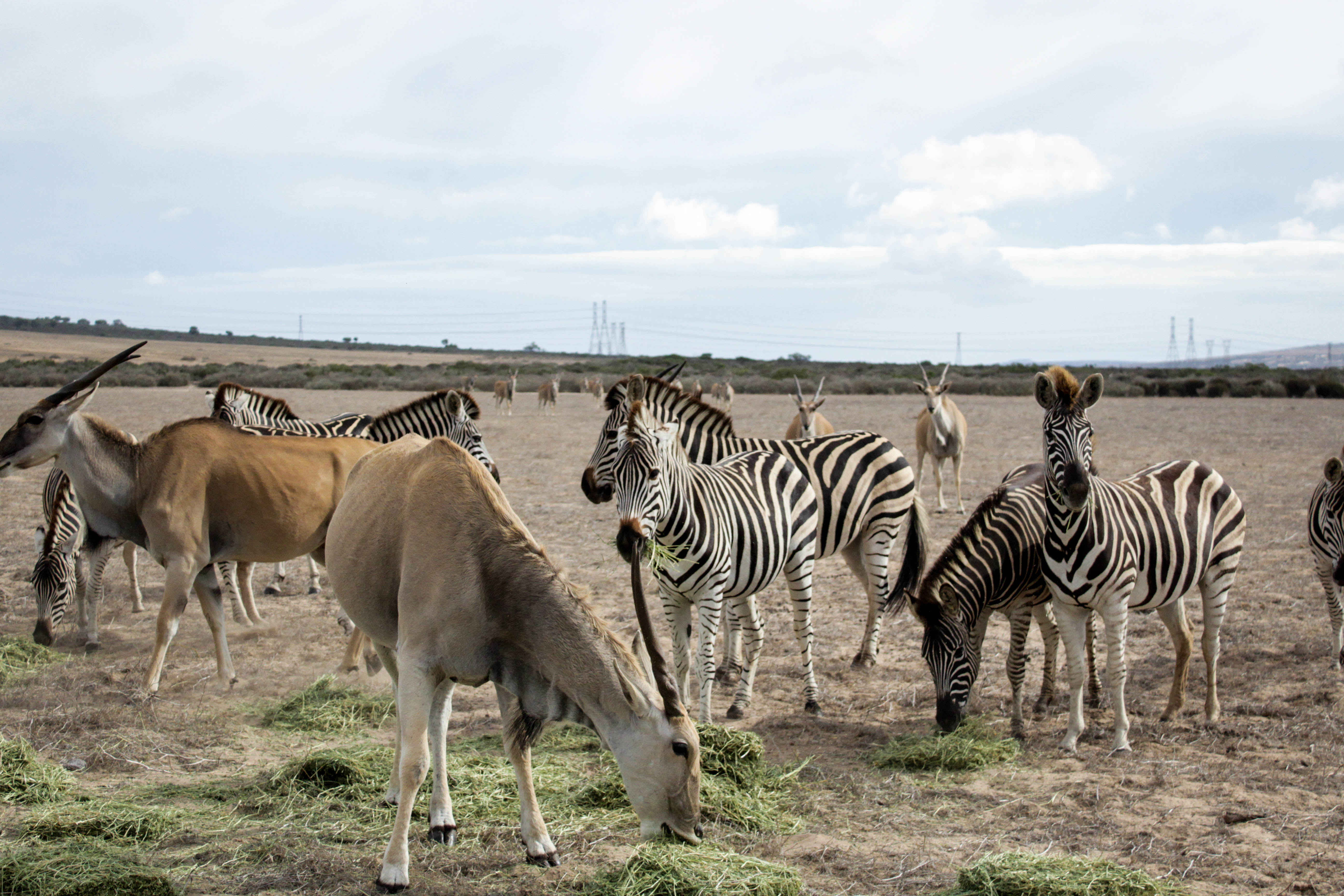 West Coast Way Trip 2 277