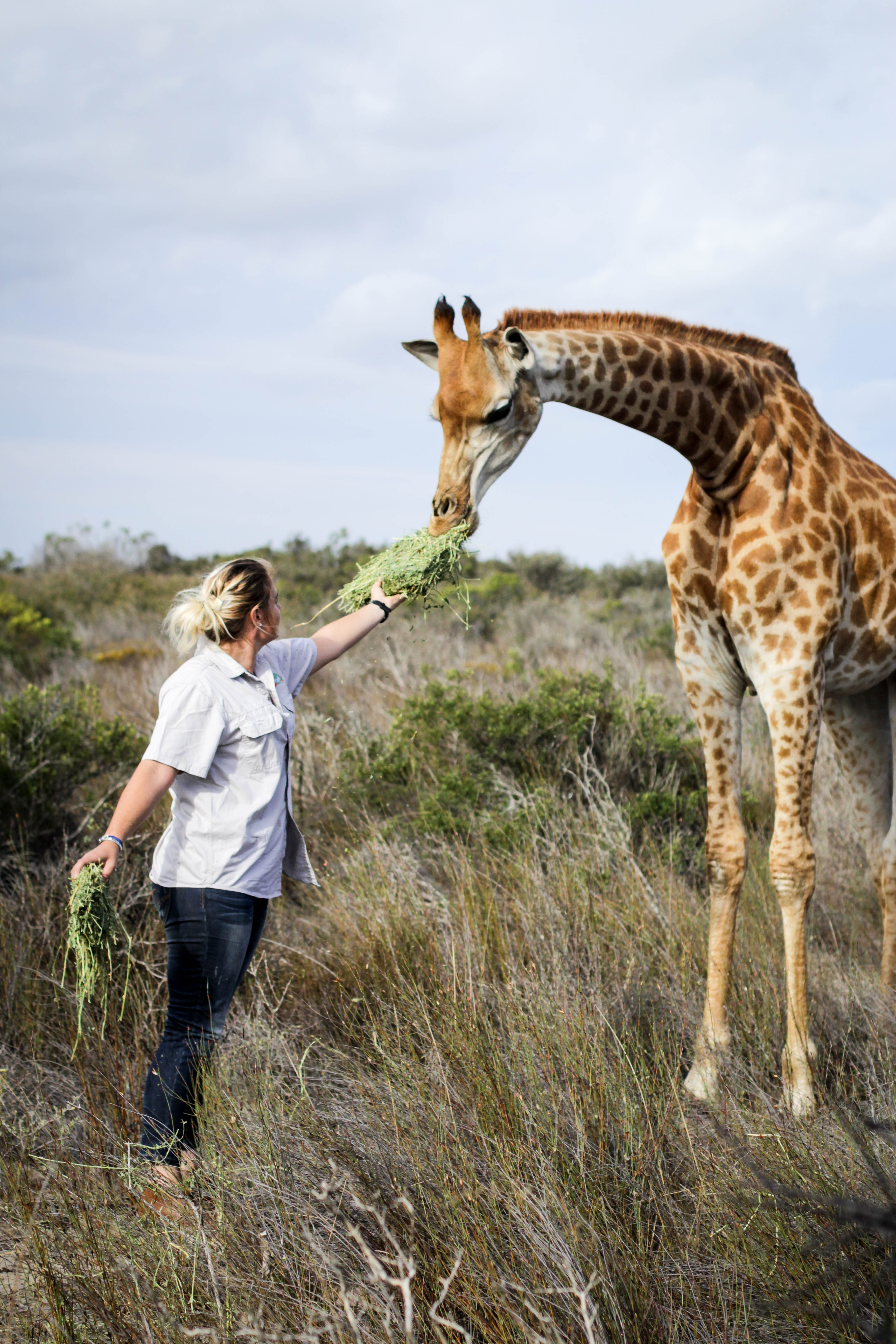 West Coast Way Trip 2 297