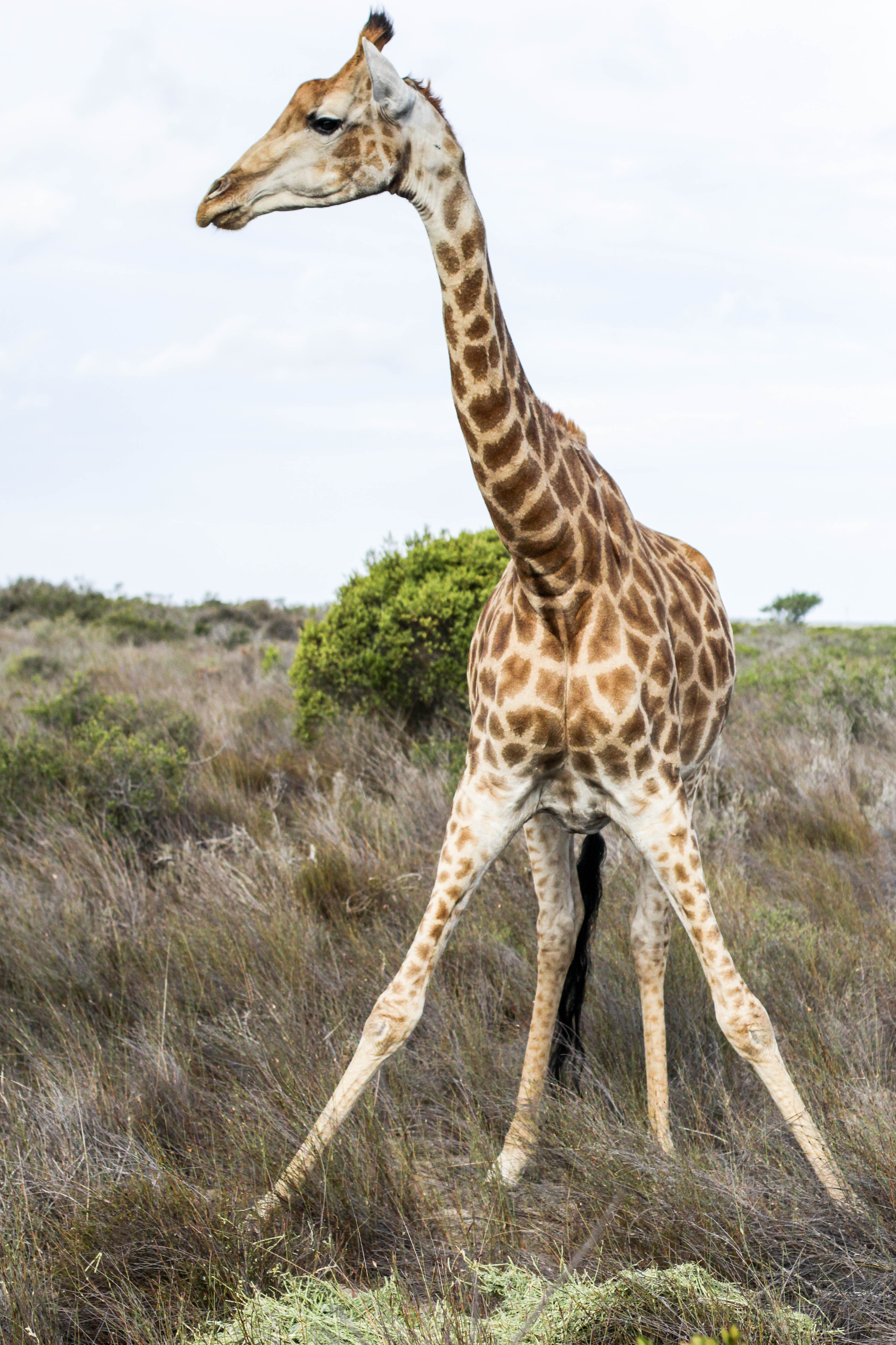 West Coast Way Trip 2 301-2.jpg