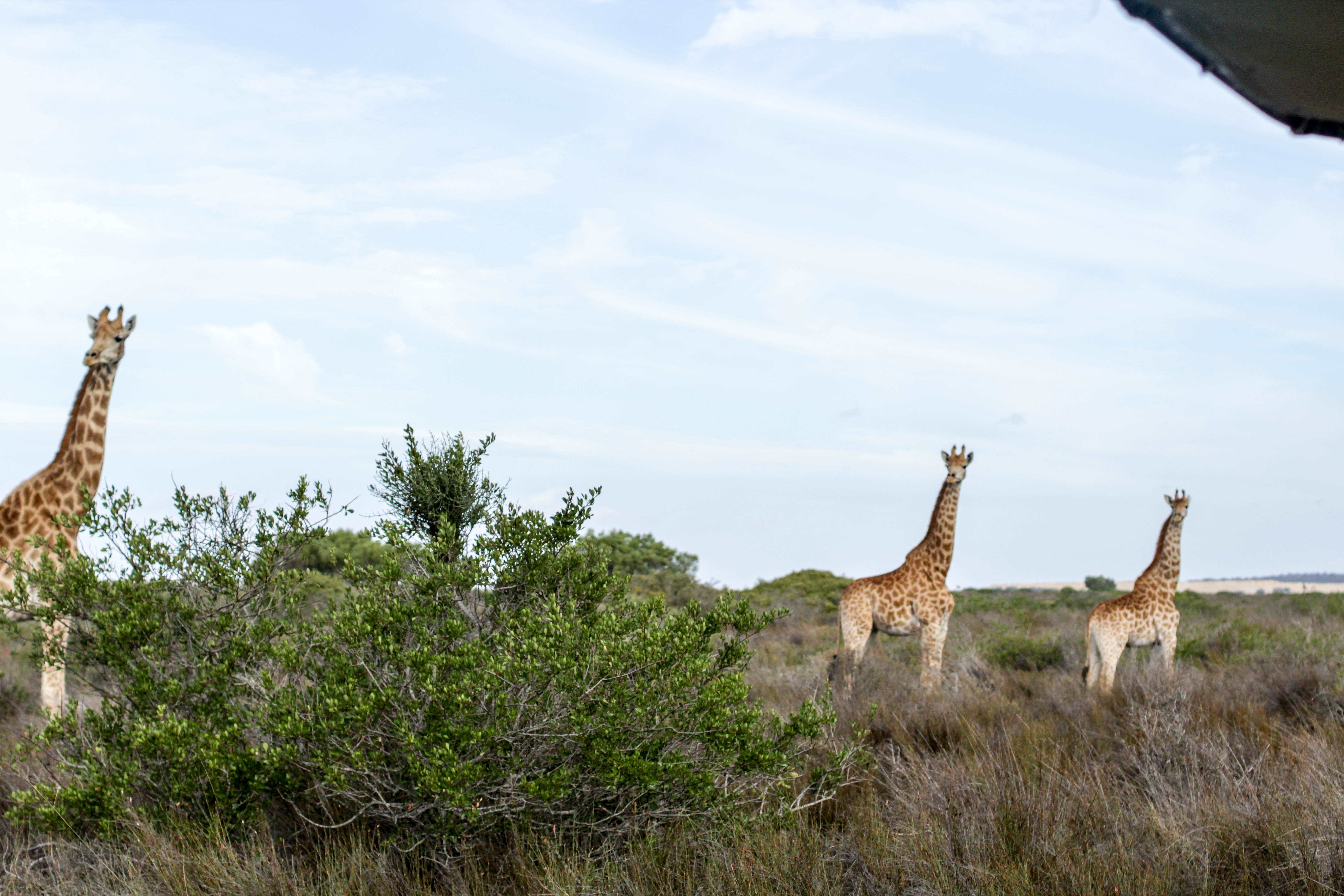 West Coast Way Trip 2 303