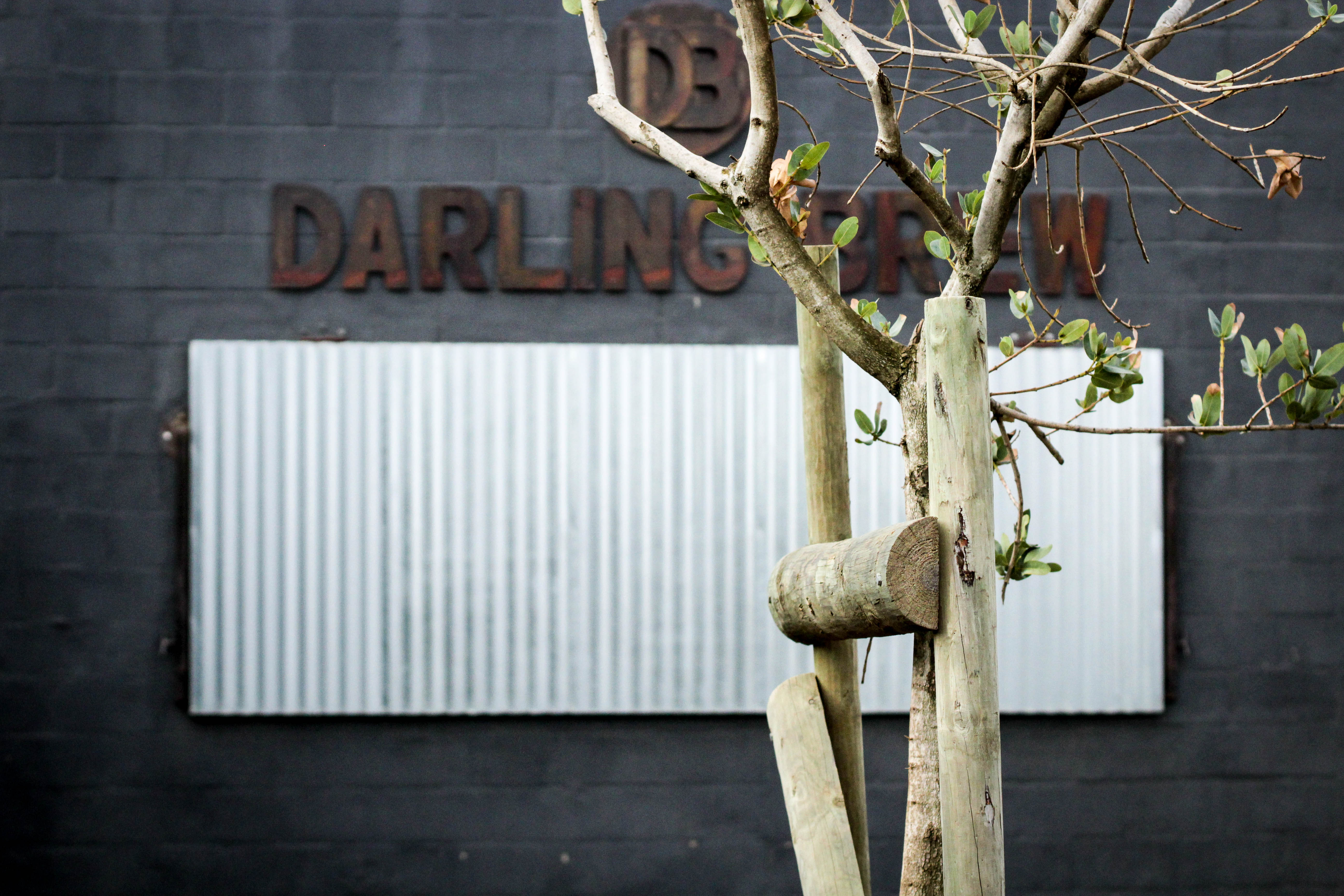 Darling Brew - West Coast Way 064