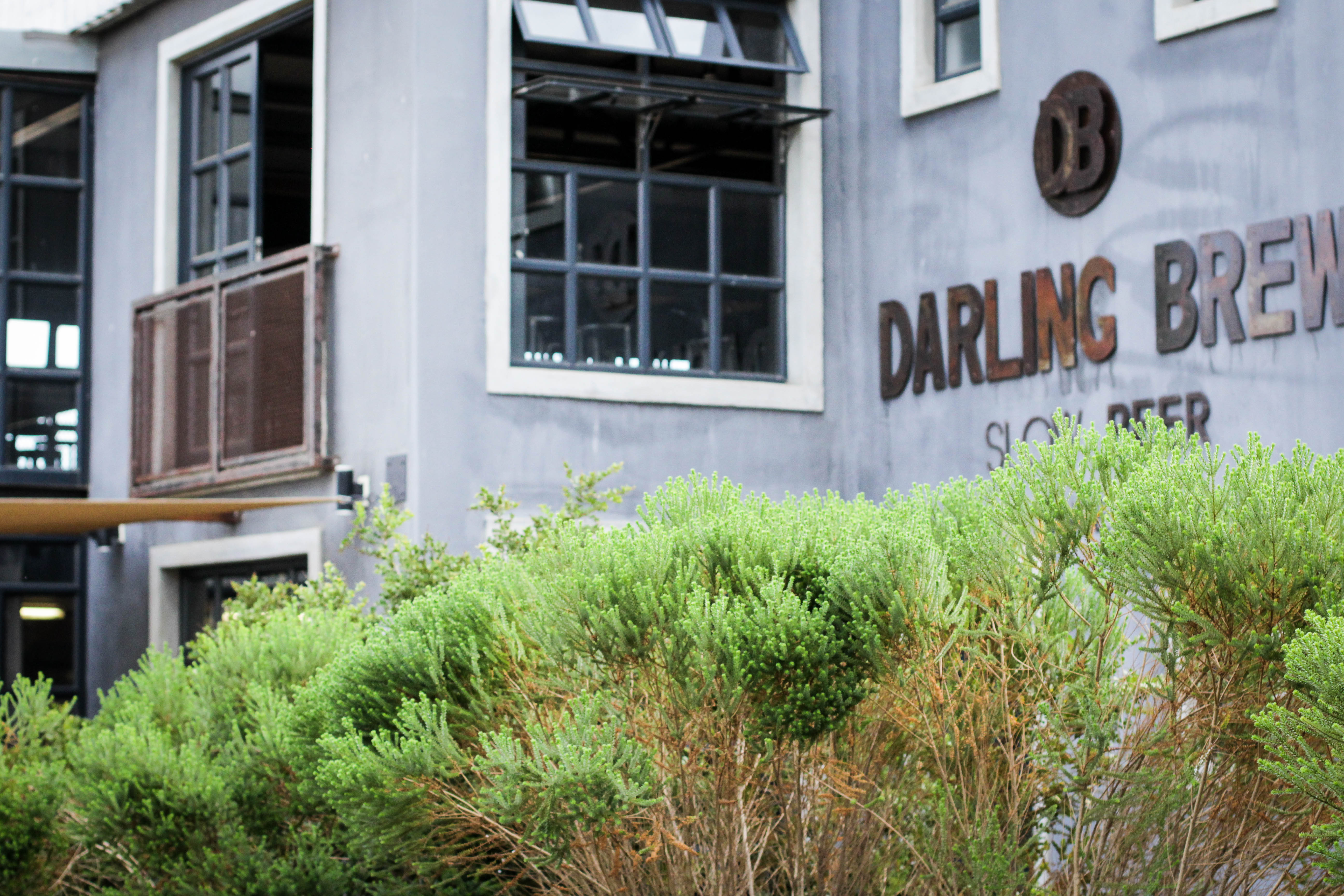 Darling Brew - West Coast Way 071