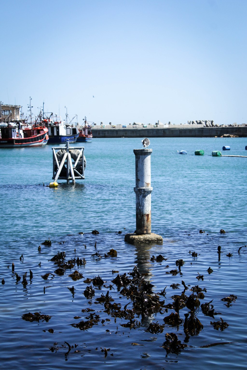 Top 5 things to do in Lamberts Bay this Festive&nbsp;Season.