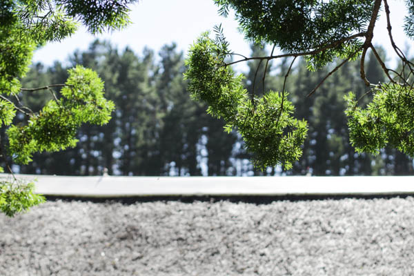 Wine Region Trip 228