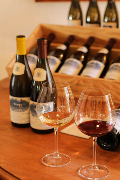 Wine Region Trip 250