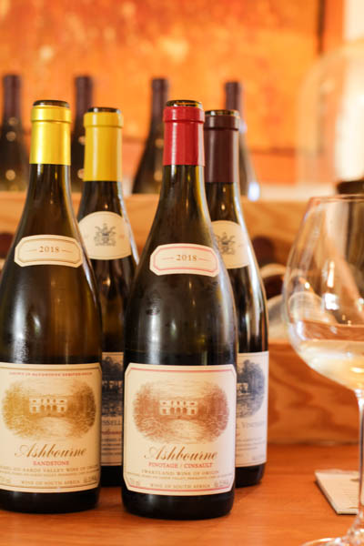 Wine Region Trip 254