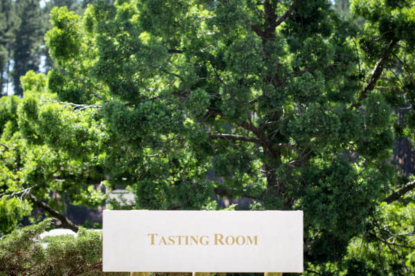 Wine Region Trip 257