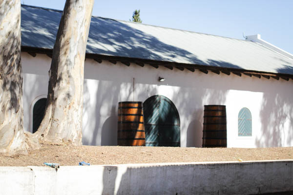 Wine Region Trip 260