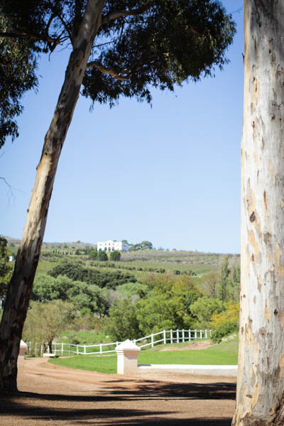 Wine Region Trip 262