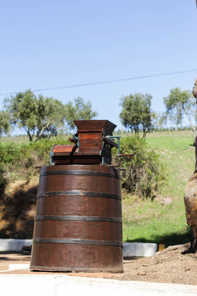 Wine Region Trip 267