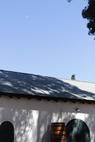 Wine Region Trip 268