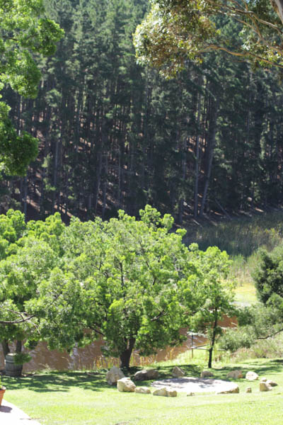 Wine Region Trip 270