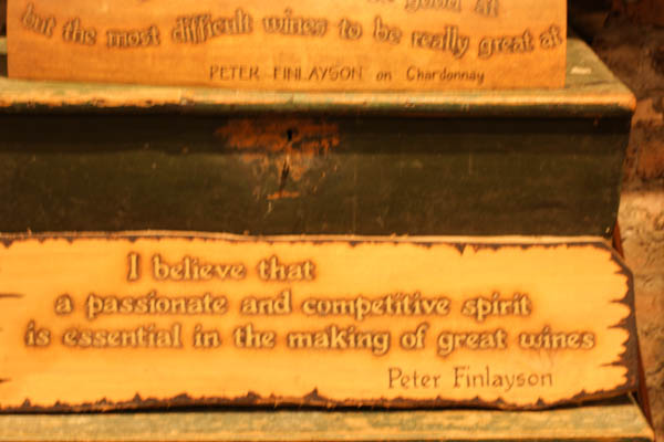 Wine Region Trip 289