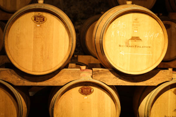 Wine Region Trip 296