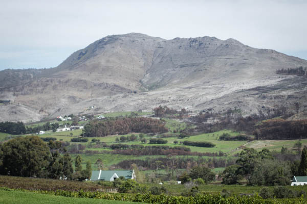 Wine Region Trip 318