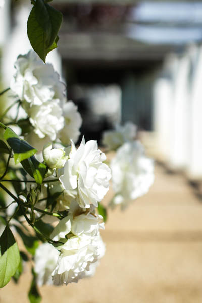 Wine Region Trip 322