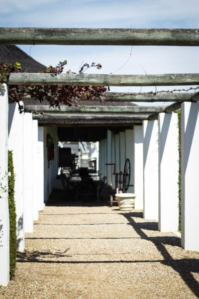 Wine Region Trip 324