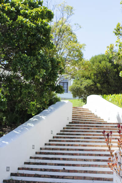 Wine Region Trip 327