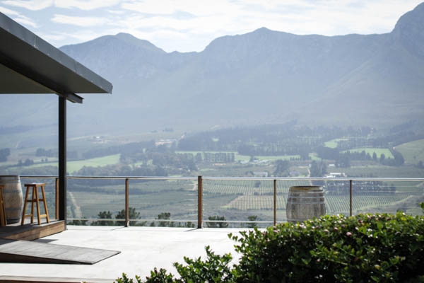 Wine Region Trip 350