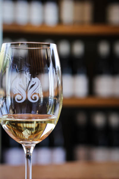 Wine Region Trip 361