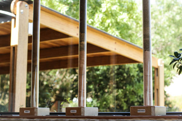 Wine Region Trip 362