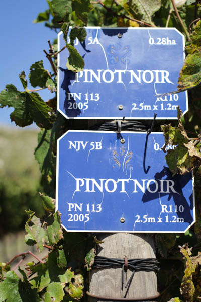 Wine Region Trip 385