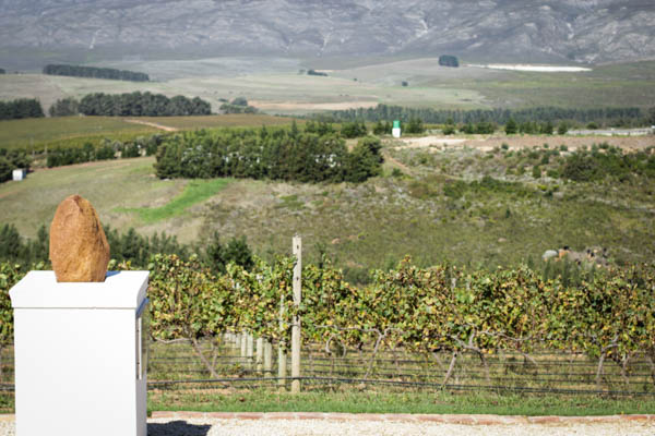 Wine Region Trip 395