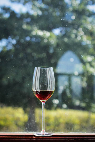 Wine Region Trip 449