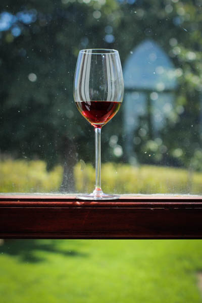 Wine Region Trip 453