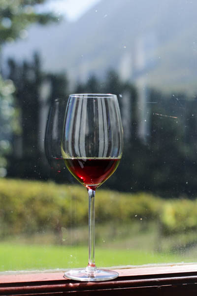 Wine Region Trip 461