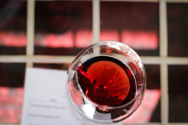 Wine Region Trip 466