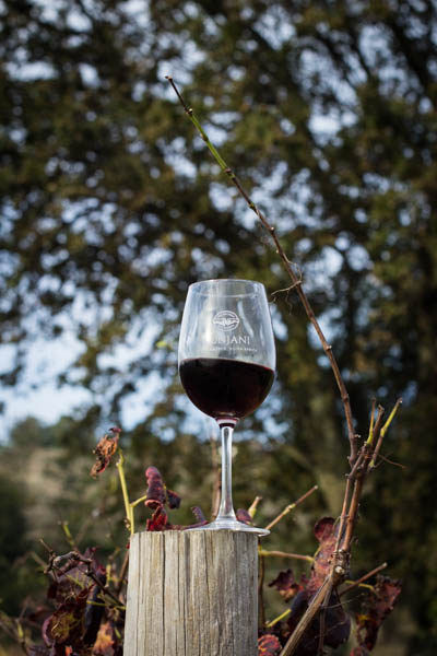 Kunjani Wines Launches Fresh New Wine&nbsp;Labels