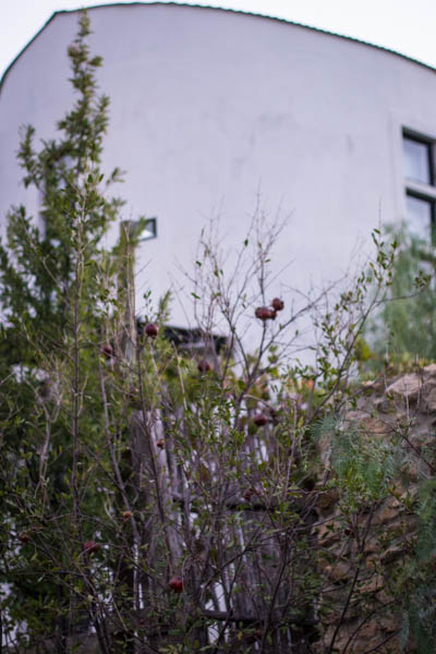 Wine region trip 2 001