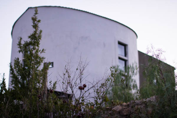 Wine region trip 2 003