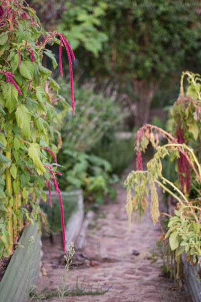 Wine region trip 2 004