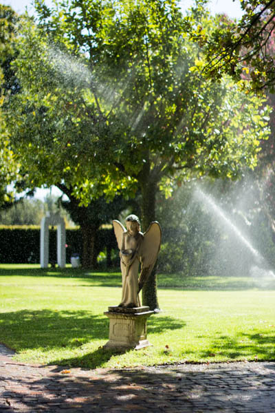 Wine region trip 2 019