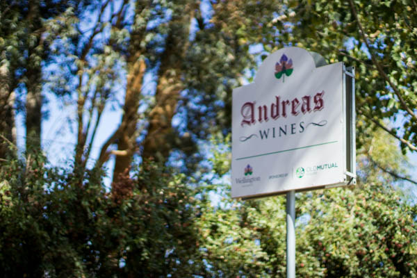 Wine region trip 2 020