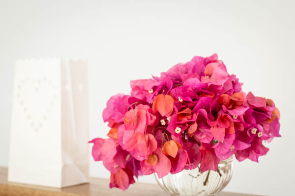 Wine Region Trip 495 - Copy