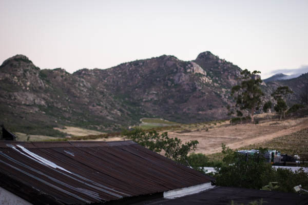 Wine Region Trip 519