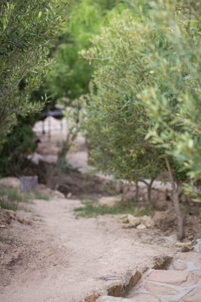 Wine Region Trip 524