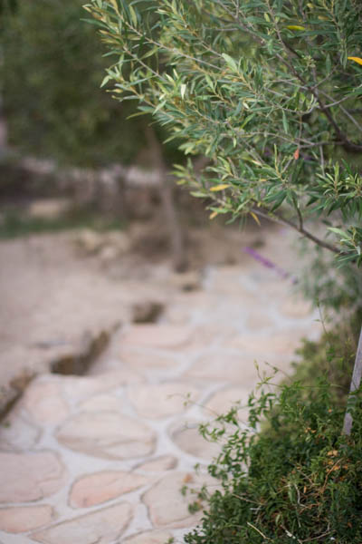 Wine Region Trip 525