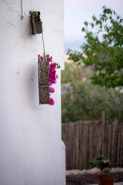 Wine Region Trip 534