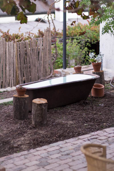 Wine Region Trip 535