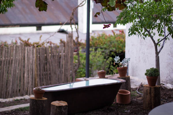 Wine Region Trip 536